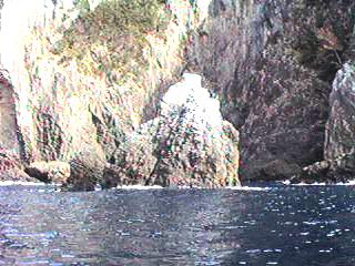 bisyago.jpg (18211 バイト)