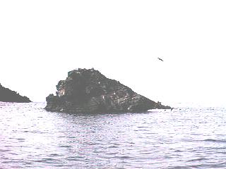 igami.jpg (11266 バイト)