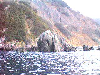 bisyago.jpg (18211 バイト)