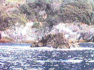 bisyago.jpg (18211 バイト)