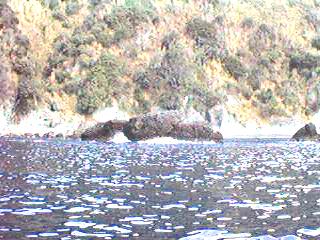 bisyago.jpg (18211 バイト)