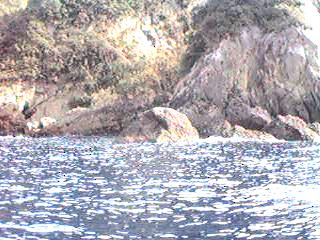 marune.jpg (26443 バイト)