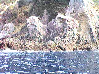 bisyago.jpg (18211 バイト)