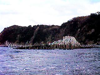 suzume.jpg (21149 バイト)