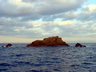 tobi.jpg (13059 バイト)