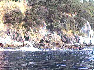 bisyago.jpg (18211 バイト)