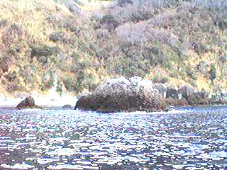 bisyago.jpg (18211 バイト)