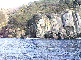 bisyago.jpg (18211 バイト)