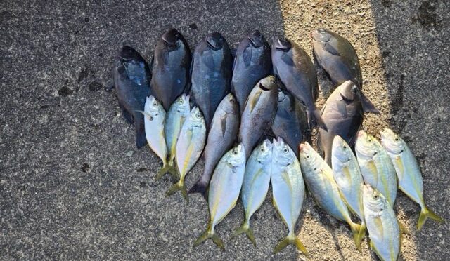 磯釣り渡船です