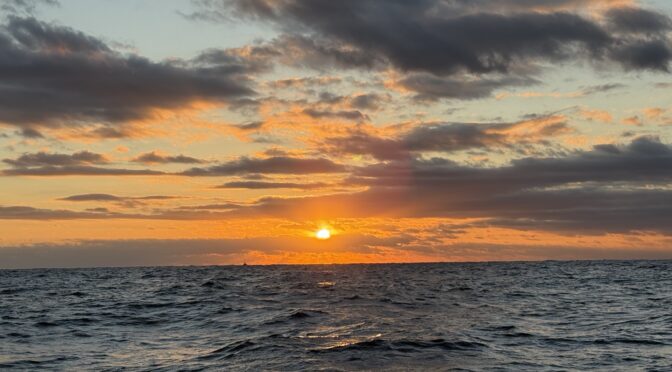 おはよう御座います