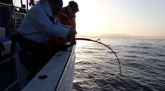 お知らせです。